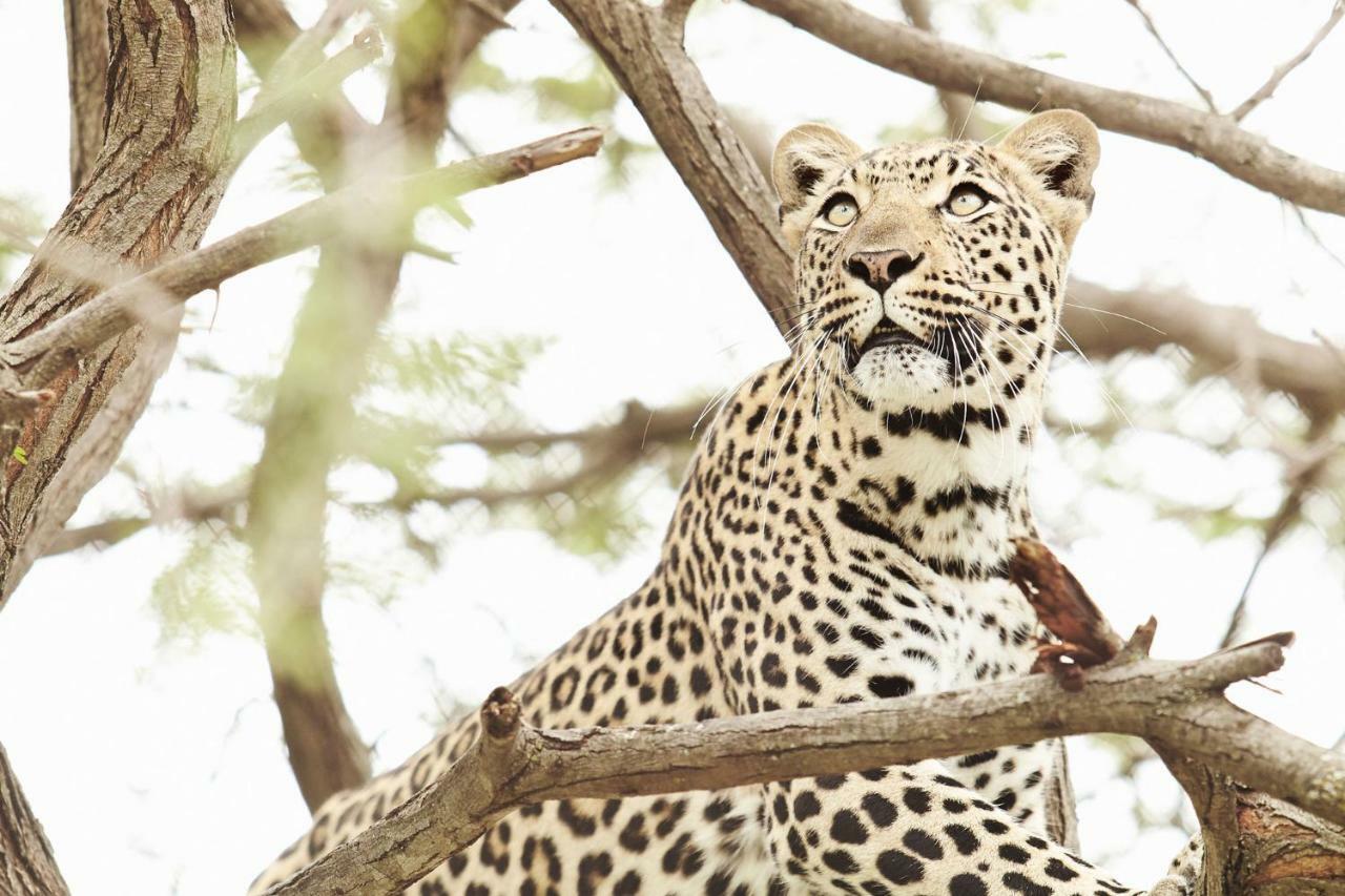 Vuyani River Lodge Hoedspruit Bagian luar foto